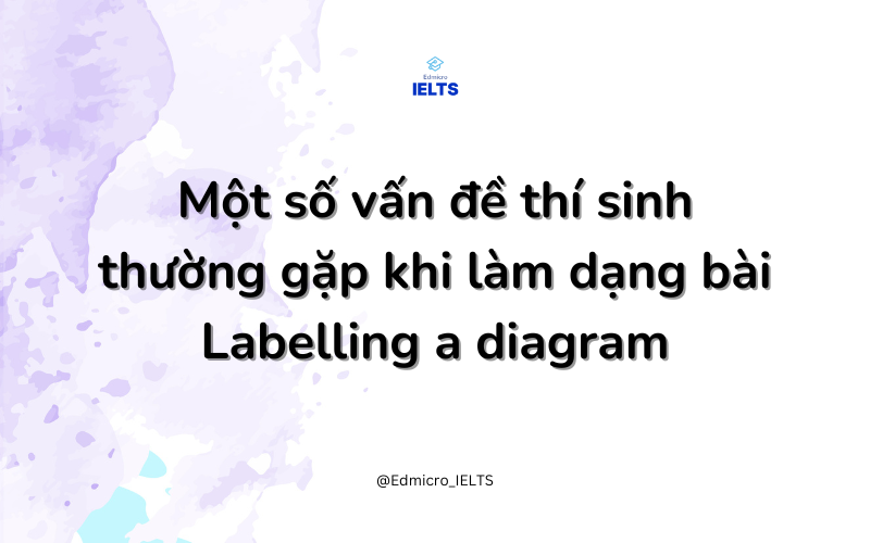 Một số vấn đề thường gặp