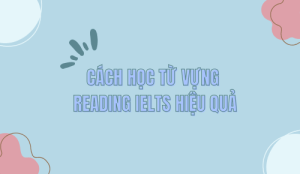 cach-hoc-tu-vung-reading-ielts